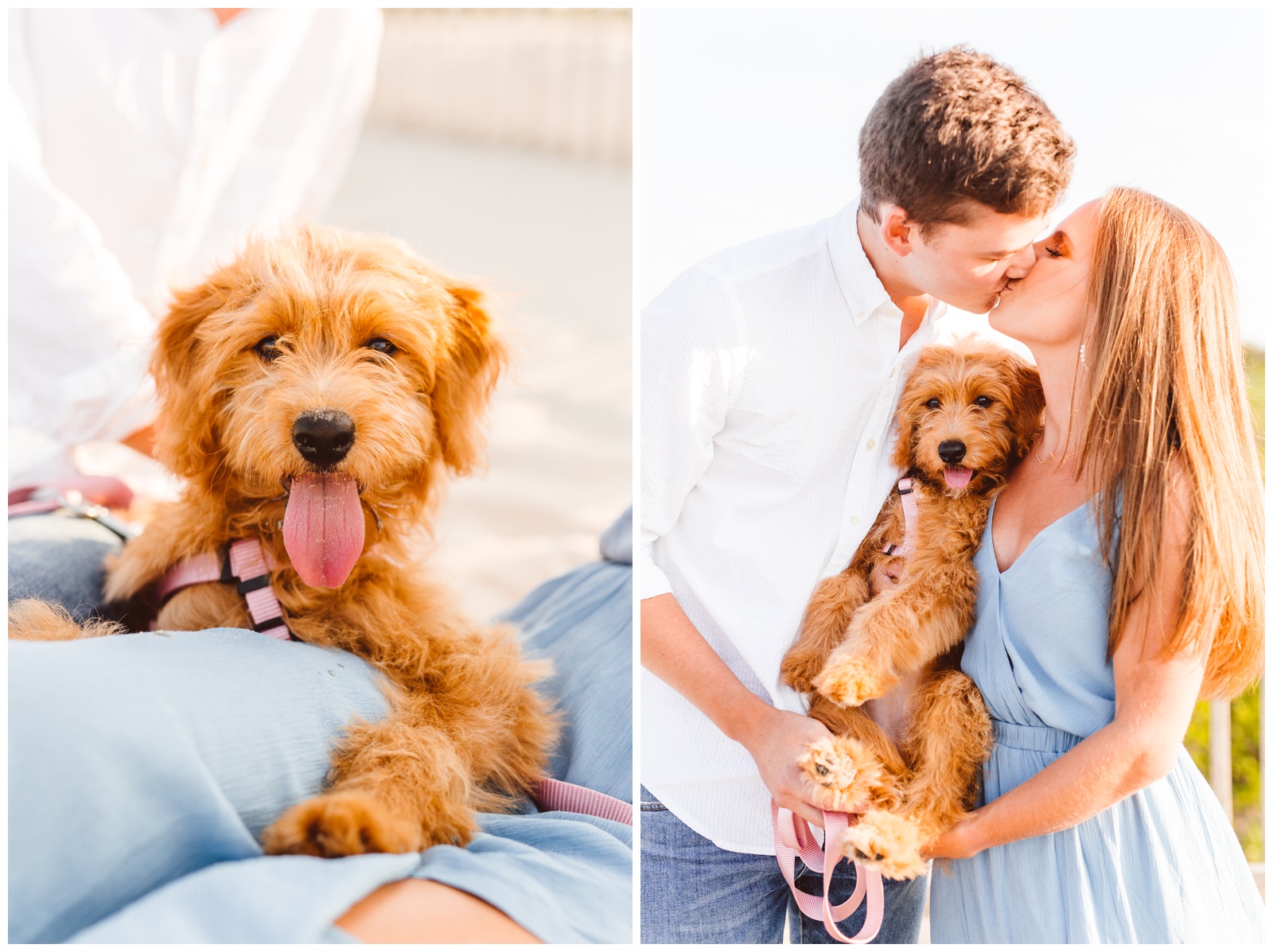 Five Tips for Bringing Your Dog to Your Engagement Session - Wedding Tips and Tricks - Brooke Michelle Photography