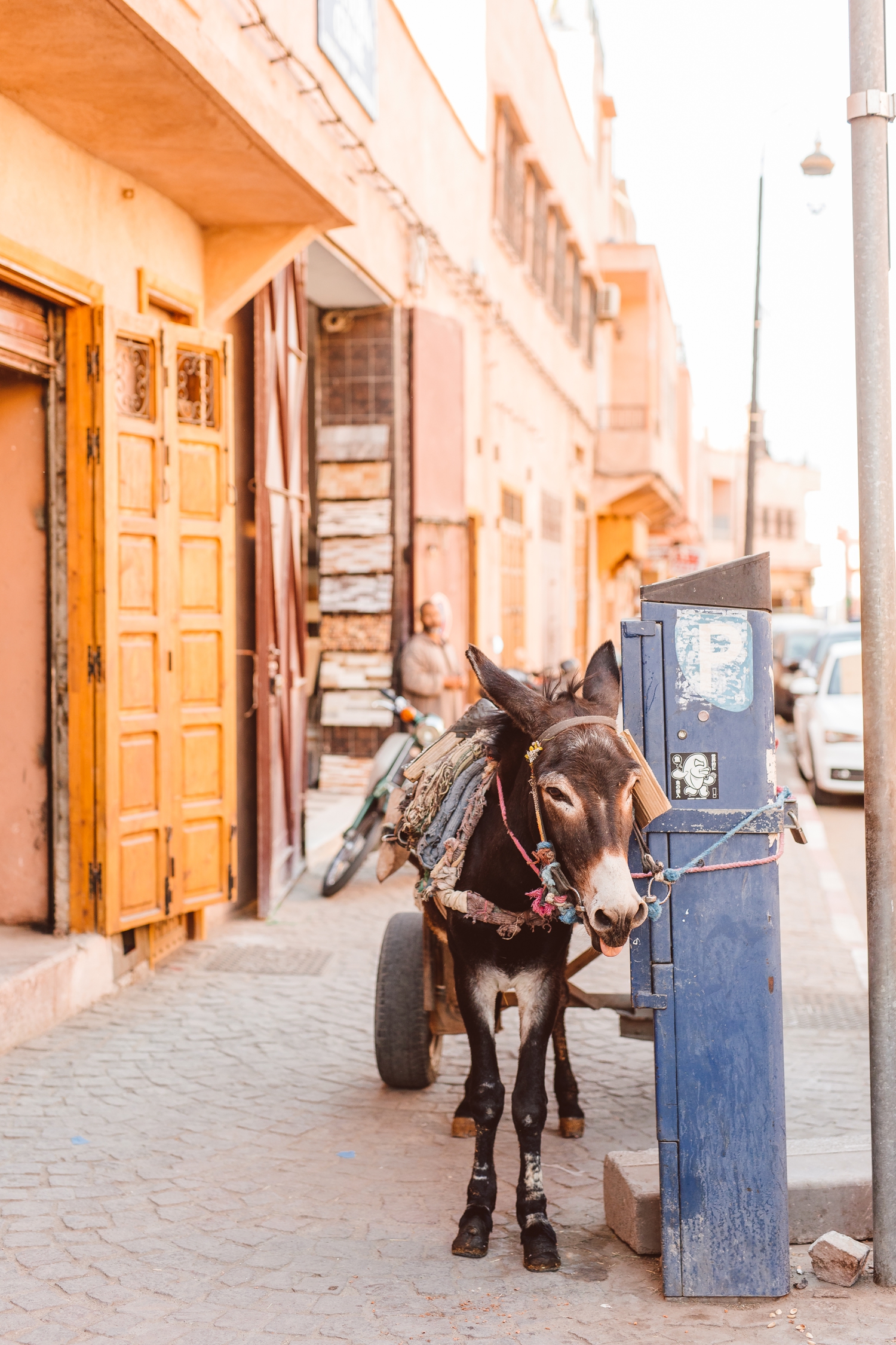 Donkey with cart attached to it in streets of Marrakesh, Morocco | Brooke Michelle Photography