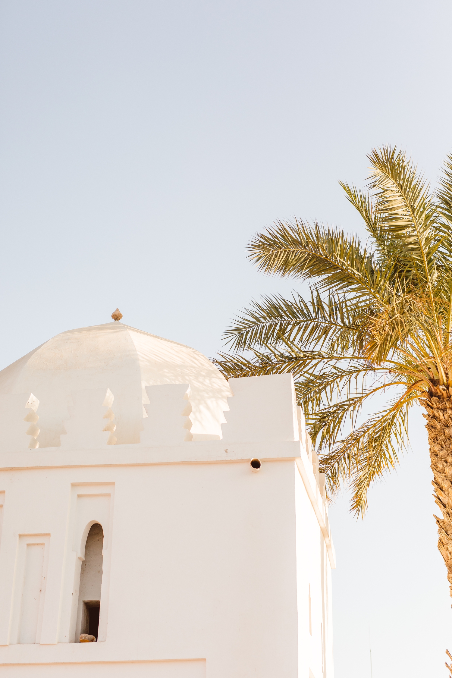 White building with dome on top and palm tree next to it in Marrakesh, Morocco | Brooke Michelle Photography