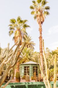 Palm trees and cactus growing in front of green tiled building in Morocco | Brooke Michelle Photography