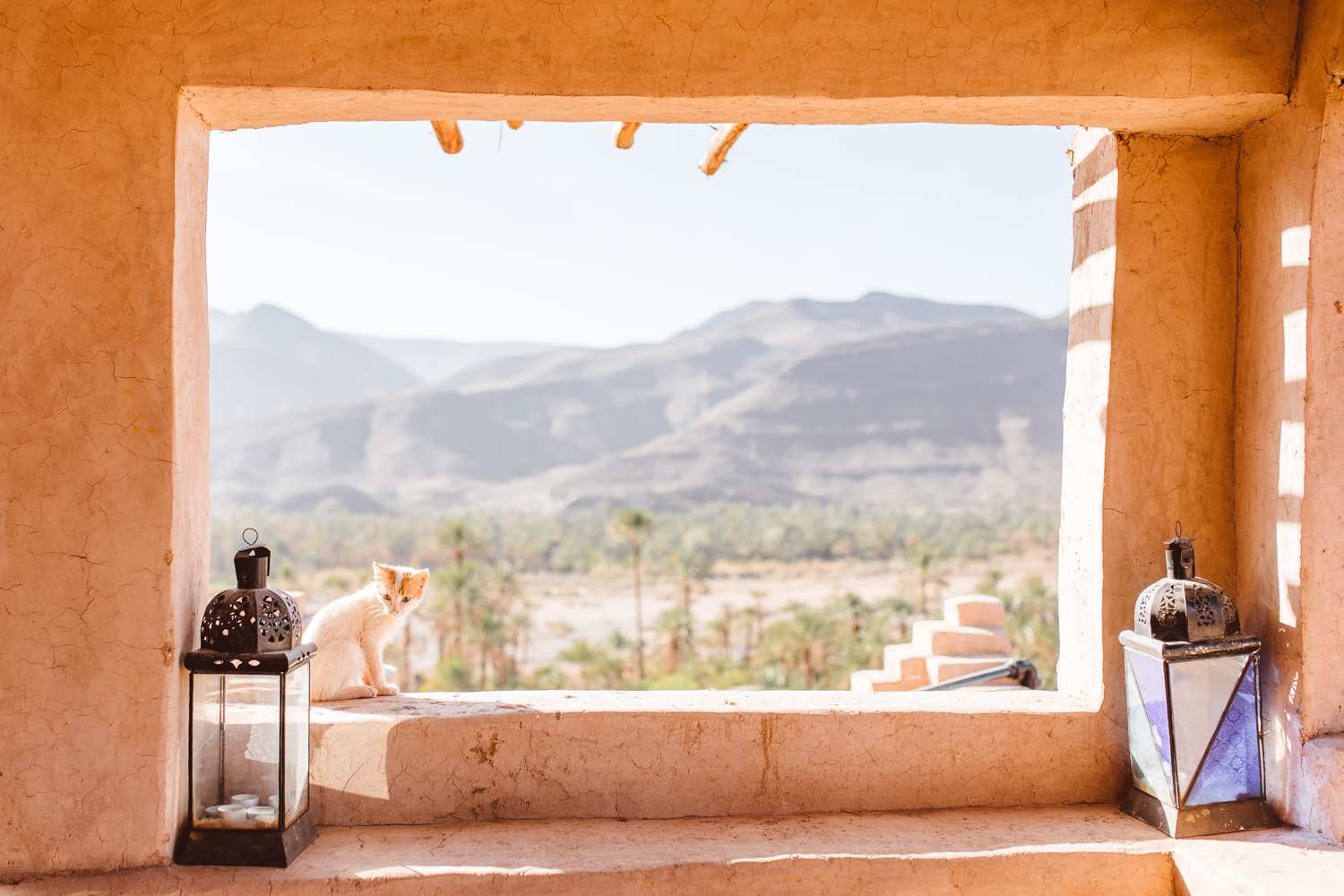 Cat sitting on window sill in Kusbah, Morocco | Brooke Michelle Photography