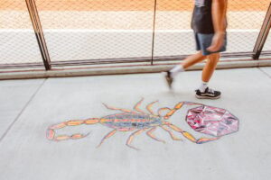 Colorful scorpion mosaic art installed on the sidewalk at 8th Street Market in Bentonville, Arkansas, a fun engagement photo stop