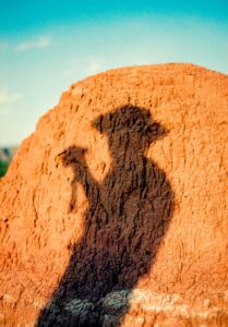 Silhouette of a groom in a wide-brim hat framed inside a Palo Duro Canyon cave overlook, Texas elopement photography
