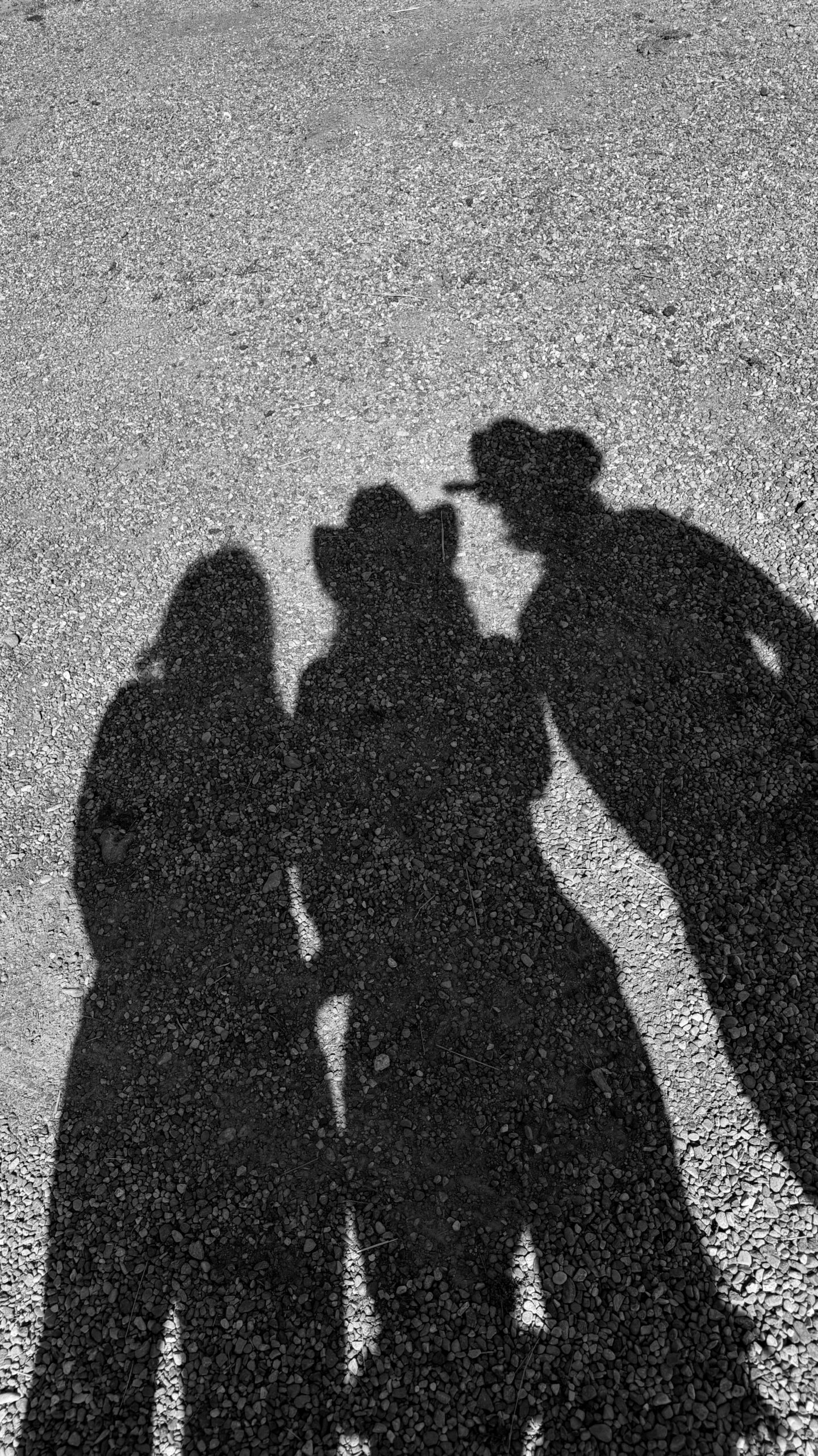 Black and white shadow portrait of three friends wearing cowboy hats on a gravel trail at Spring Creek Ranch in Jackson Hole, Wyoming